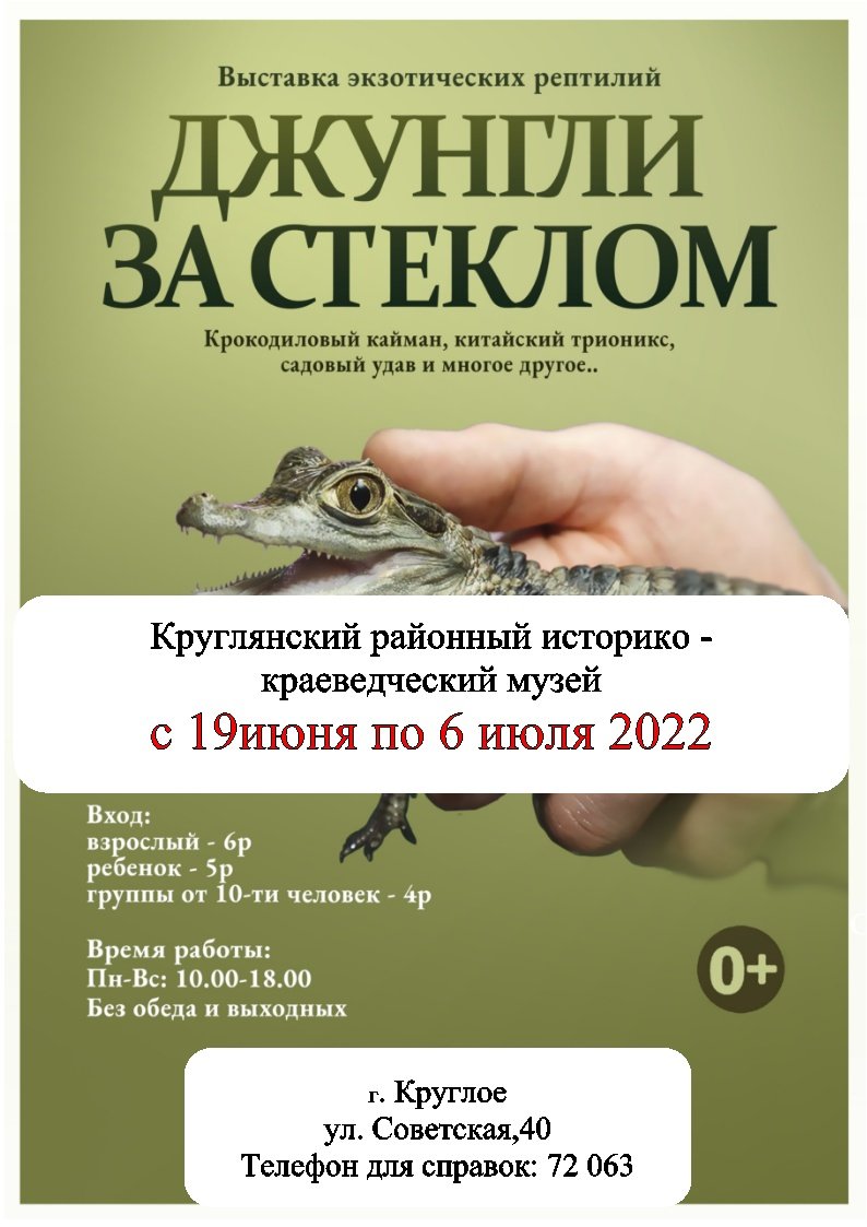 Выставка икон «Свет Христов просвящает всех». Речицкий краеведческий музей. г. Речица, 2019 г.